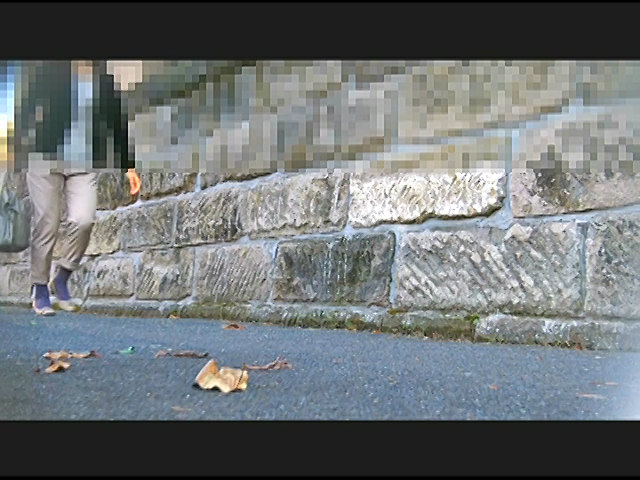 【fumaretai-0007】お嬢様がトンボとカタツムリを踏みにじって歩き去る!のパッケージ画像